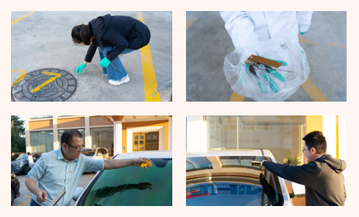 党员幼同伴使命劳动